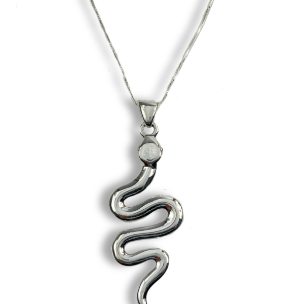 CONJUNTO PRATA 925 SERPENTE EM ELETROFORMAÇÃO-CJPRT0563